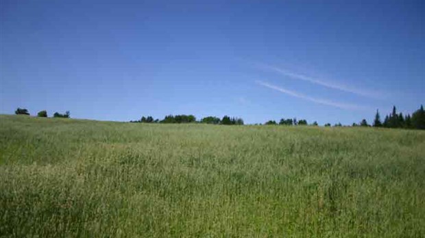 Agri-Génie approche à  grands pas