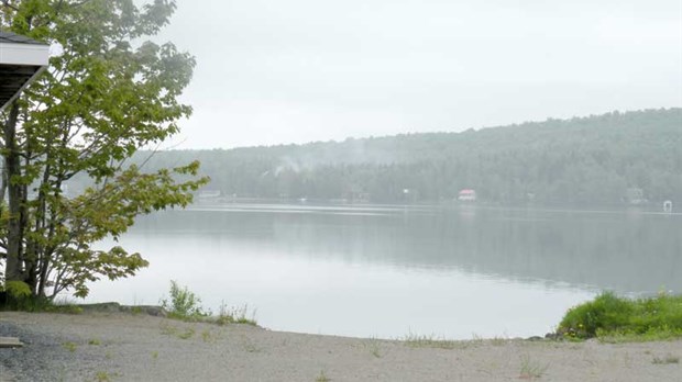 L’APELF distribue des milliers d’arbres pour préserver le lac Fortin