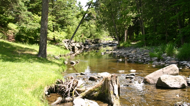 Le ruisseau d’Ardoise sera revitalisé à Saint-Georges