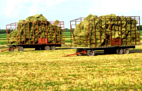 La Financière agricole a versé 23,6 M$ en 2009 aux producteurs de la région