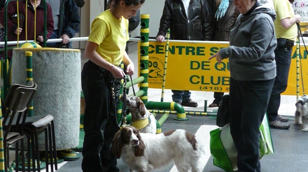 5e Salon Info-canin:Frénésie canine au Carrefour Saint-Georges