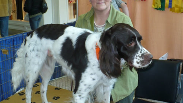 Le salon Info-canin de retour au Carrefour Saint-Georges