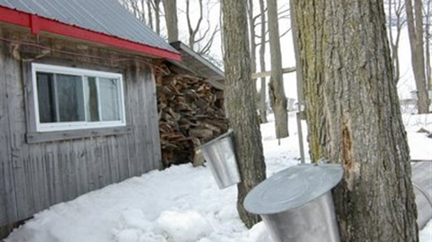 Des cabanes à sucre visitées par les voleurs à Saint-Séverin