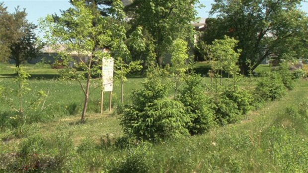 Octroi pour la mise en valeur des ressources forestières en Chaudière-Appalaches