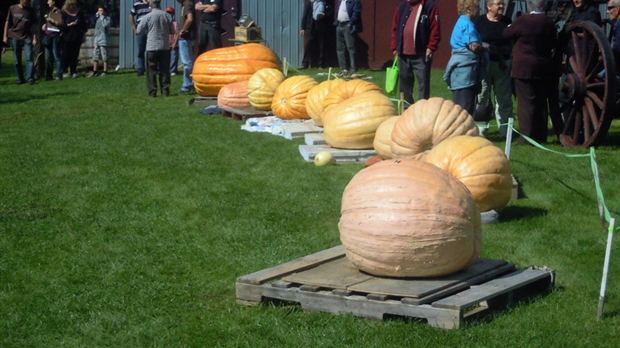 La Fête de l’automne bat son plein au Village des Défricheurs!