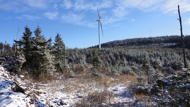 Un projet éolien communautaire bénéfique pour Saint-Robert et la MRC du Granit