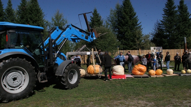 Le concours de citrouilles géantes est de retour au Village des Défricheurs