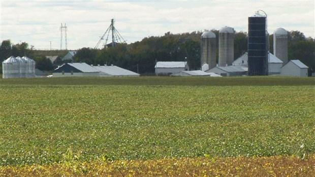 Lancement de l’année internationale de l’agriculture familiale