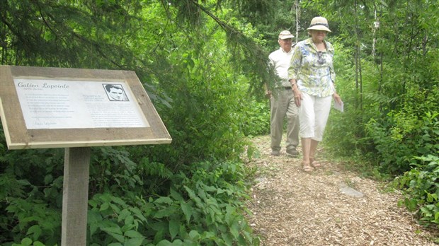 Sous-bois poétique au Moulin La Lorraine