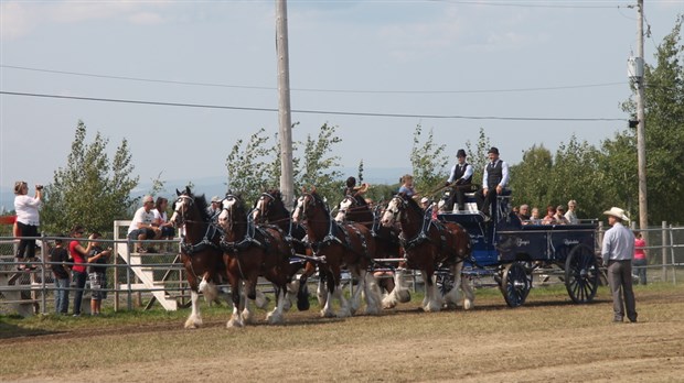 L'exposition agricole de Beauce fait fureur à Saint-Honoré