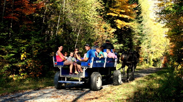 La montée des couleurs illumine le Parc des Sept-Chutes