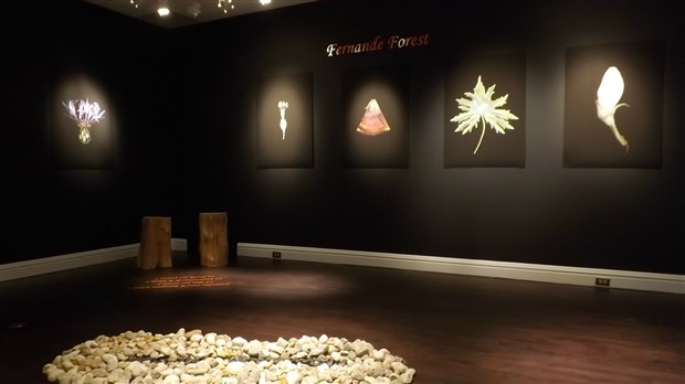 Présentation de l'exposition «Silence» au Musée Marius-Barbeau