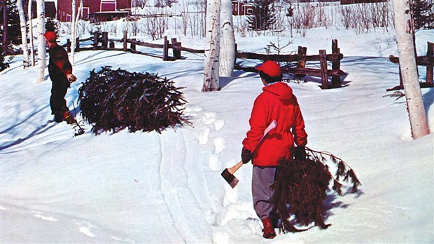 Le conte de Noël « Le roi des forêts » présenté à Sainte-Aurélie le 21 novembre