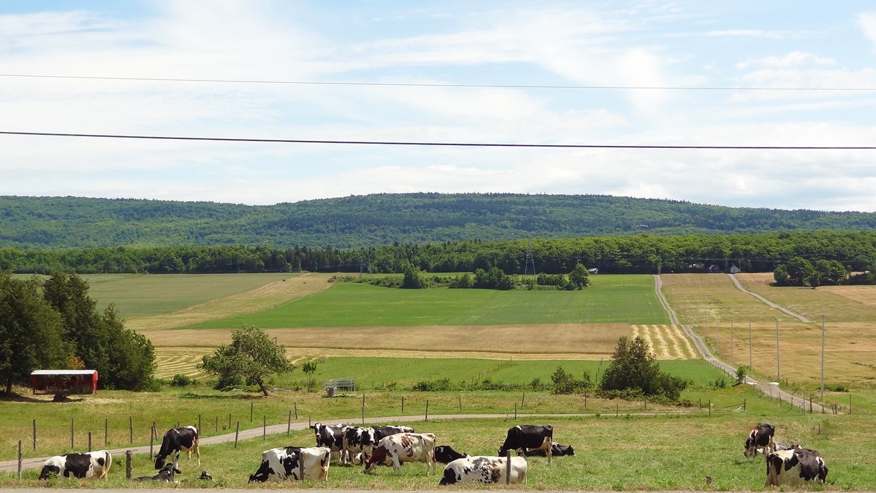 La Financière agricole du Québec présente son bilan 20142015 en