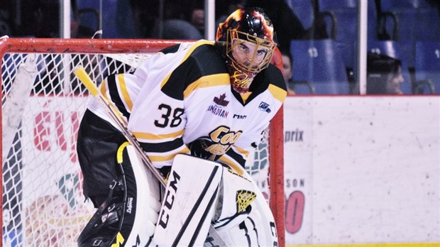 Pelletier et Cloutier unissent leurs efforts pour vaincre Sorel-Tracy 4-0