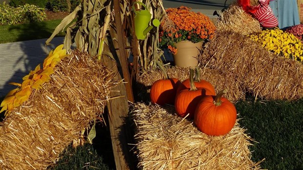 Saint-Georges annule la fête de l'Halloween au parc des Sept Chutes