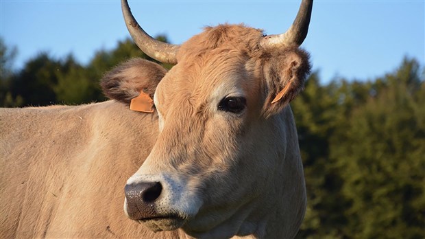 Les agriculteurs d’ici sont inquiets de la renégociation de l’ALÉNA