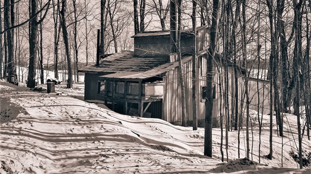 Le temps des sucres est à nos portes : EnBeauce.com à la recherche de photos