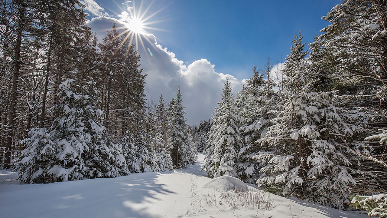 PHOTOS | Les Plus Beaux Paysages Hivernaux De La Région