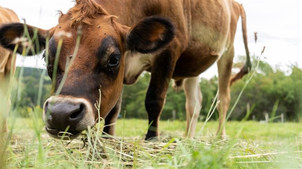 La Financière agricole du Québec présente son bilan en Chaudière-Appalaches