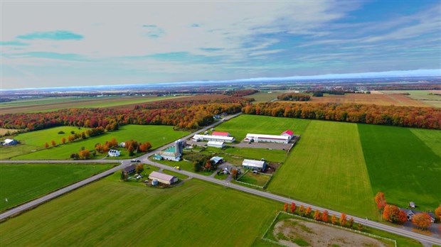 Zone agricole: enfin une stratégie nationale, se réjouit l'UPA