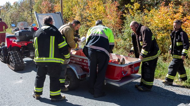 Un homme légèrement blessé après avoir reçu un arbre sur la tête