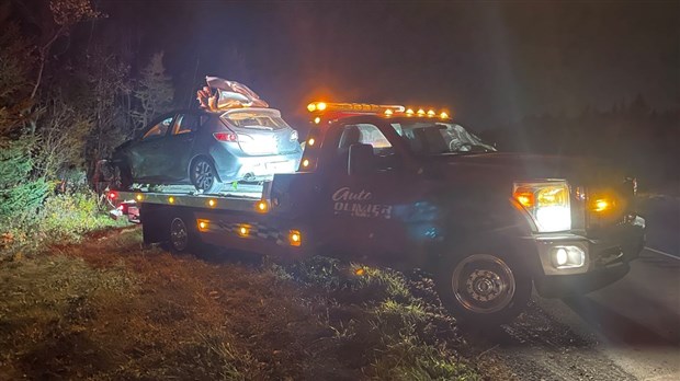 Un orignal a causé quatre accidents à Saint-Lambert-de-Lauzon