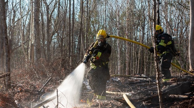 Une très faible superficie des forêts québécoises brûlée cette année