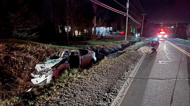 Un conducteur percute deux vaches à Sainte-Marguerite