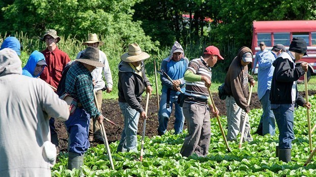 Recrutement de travailleurs étrangers: les assouplissements bien accueillis par le milieu économique