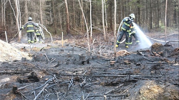 Feux de forêt : la prudence est de mise au printemps