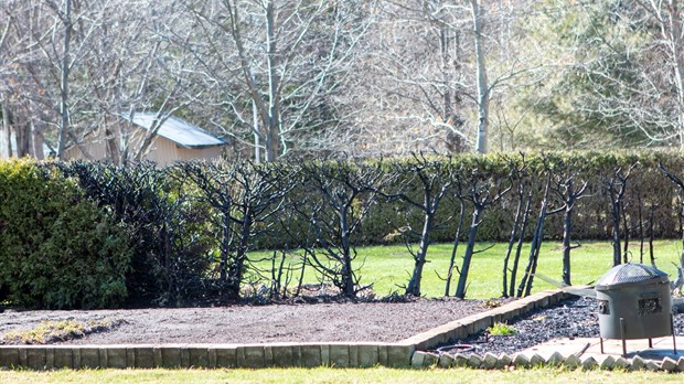 Feu de haie au Lac Veilleux