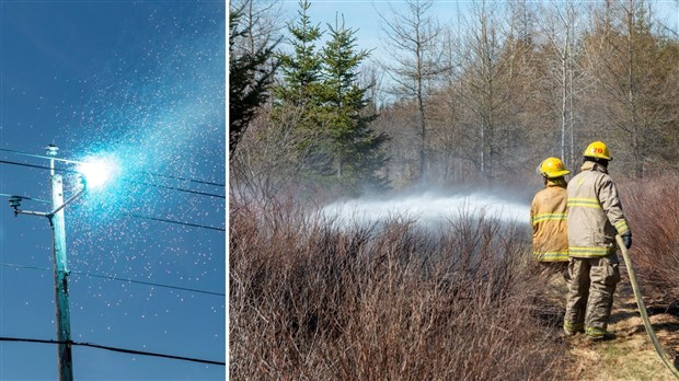 Feu de broussaille allumé par des étincelles électriques