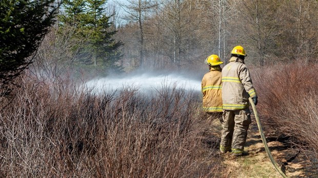 Les feux à ciel ouvert en forêt ou à proximité interdits 