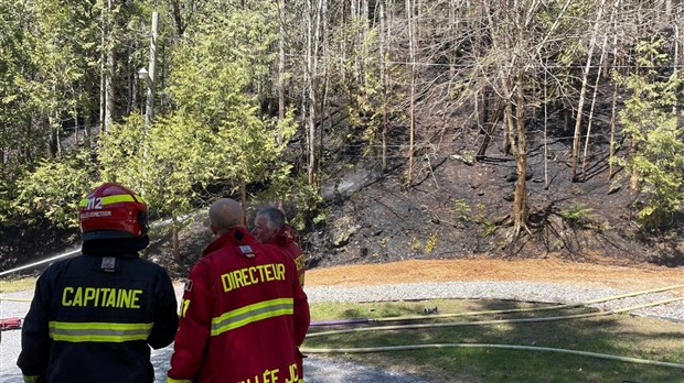 Un feu de forêt à Vallée-Jonction est en cours