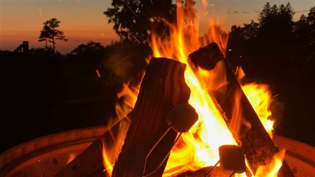 Levée de l'interdiction de feu à ciel ouvert à proximité des forêts