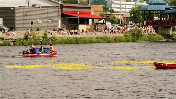 La Grande course des petits canards est de retour