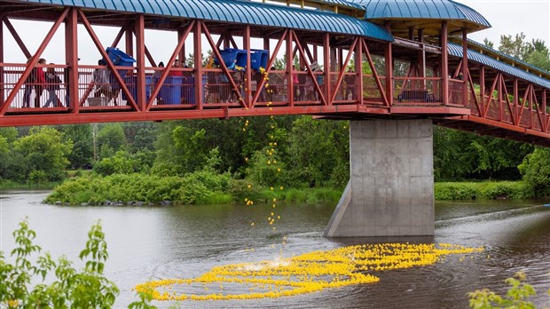 La Grande course des petits canards récolte plus de 21 000$