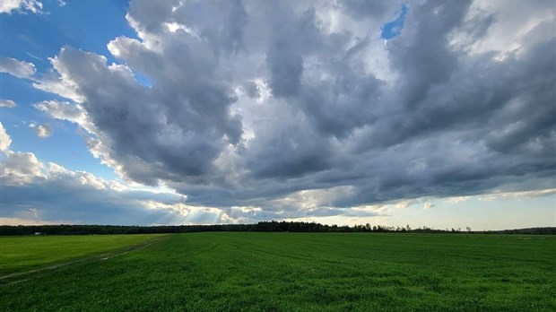 Galerie 7: le ciel en vedette