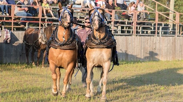 Nashville en Beauce débute aujourd'hui!