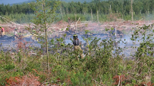 Un deuxième mois avec un petit nombre d'incendies de forêt