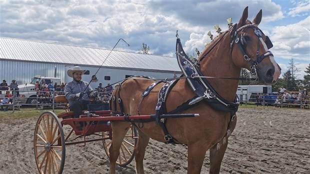 Un bel achalandage à l'Exposition agricole de Beauce