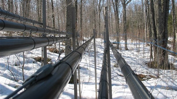 Journées acéricoles de la Chaudière-Appalaches à Sainte-Marie