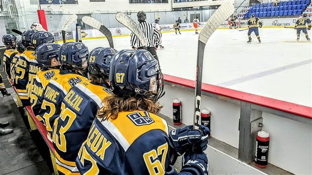 Une fin de semaine décevante pour les Lynx hockey