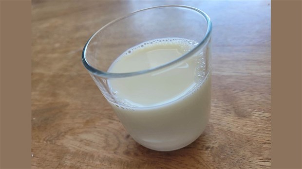 Lancement d'un « Petit guide pour distinguer le lait du faux »