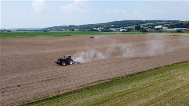 Plus de 40 % des agriculteurs prendront leur retraite d'ici 2033, selon un rapport