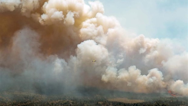 Les feux et autres phénomènes météo extrêmes font grimper le coût de l'assurance