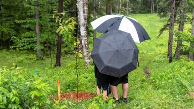 Boisé des Anges: planter un arbre pour se souvenir