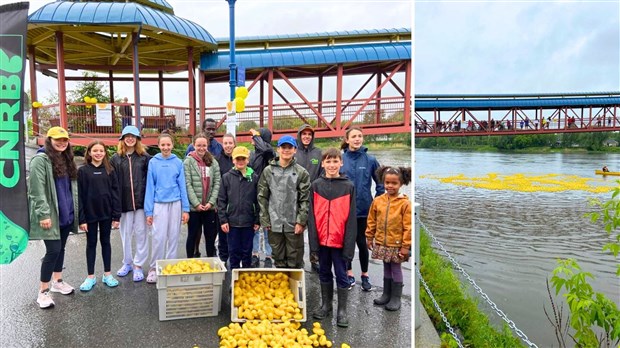 Course des canards: plus de 20 000 $ collectés