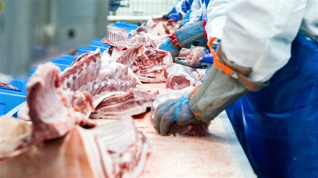 Industrie du porc: quand la décroissance est la seule avenue